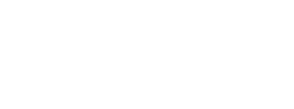 bss logo